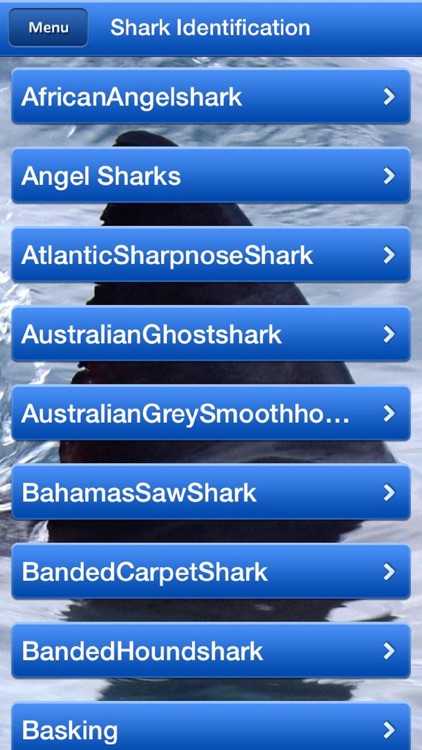 Shark Bytes NoAds screenshot-4