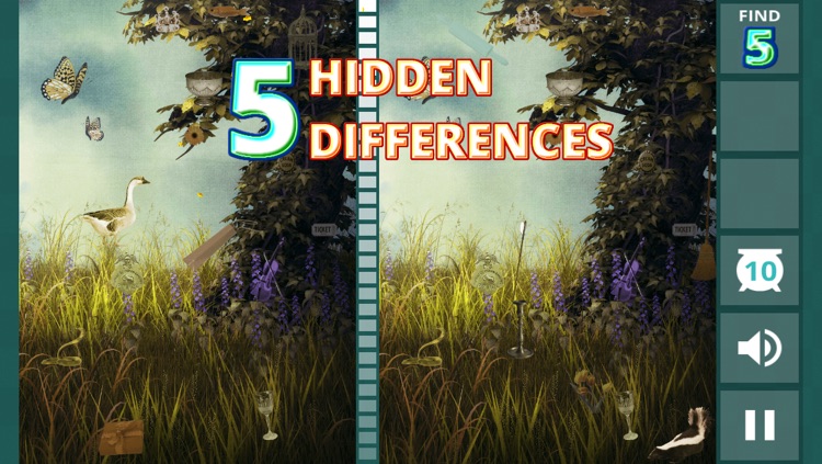 Hidden Difference - Summer Garden screenshot-3