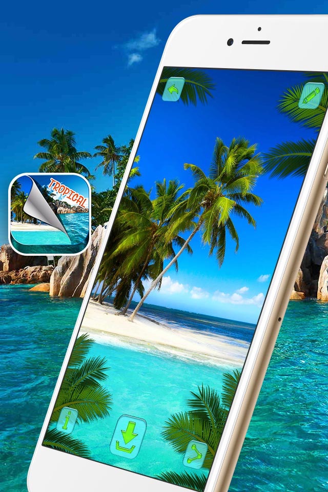 Tropical Island Wallpapers – Beautiful Summer Beach and Palm Trees Pictures screenshot 3