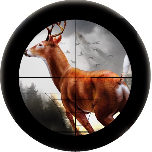 Hunting : Deer Hunting 2016 iOS App