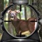 The most realistic and authentic Deer Hunting Game returns