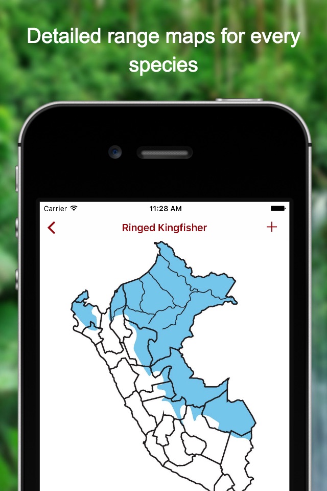 Birds of Peru screenshot 4