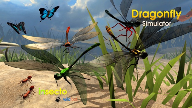 Dragonfly Simulator(圖3)-速報App