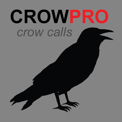 Crow Calls & Crow Sounds for Hunting Crows + BLUETOOTH COMPATIBLE iOS App