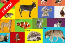 Game screenshot 100 Animal Words for Babies & Toddlers hack