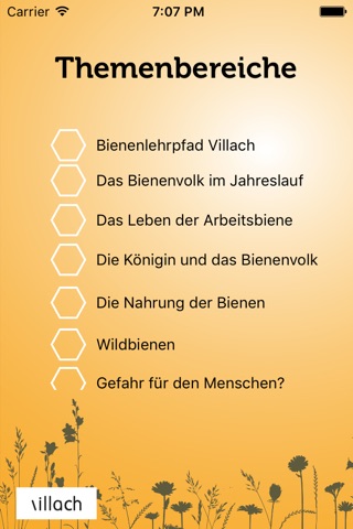 Villach Bienen App screenshot 3