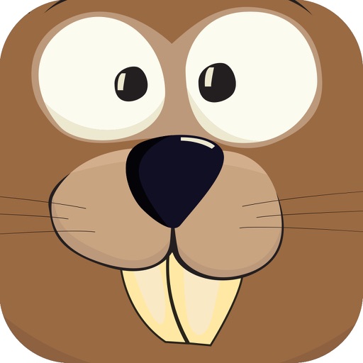 Running Squirrels Team of Nature iOS App