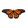 Butterfly Stickers