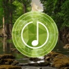 Forest Sounds: Relaxing naturescapes jungle sounds for sleep and mind calmness