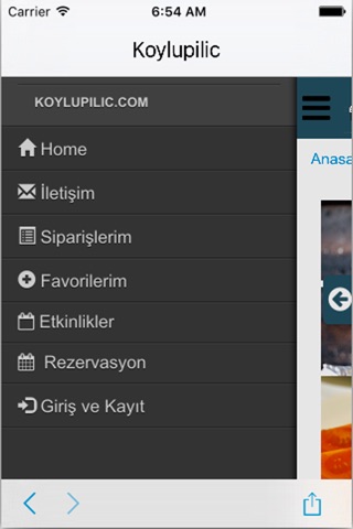 koylupilic screenshot 4