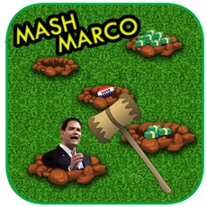 Activities of Mash Marco