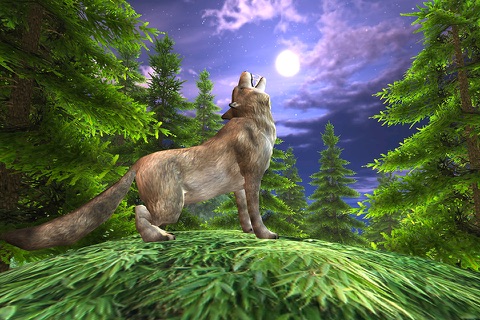 Wild Wolf Attack Adventure 3D - Wild  Beast wolf Revenge From Animals screenshot 2