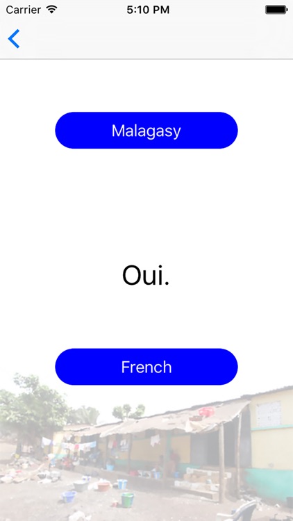 MalagasyFrench screenshot-3