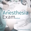 Anesthesiology Board Review and Practice Management