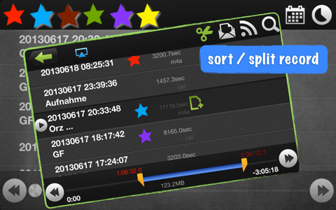 RecordKing Pro. screenshot 4