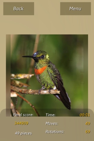 Hummingbirds Puzzles screenshot 3