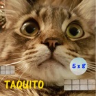 Taquito game - Math balls kids free mental calculation game