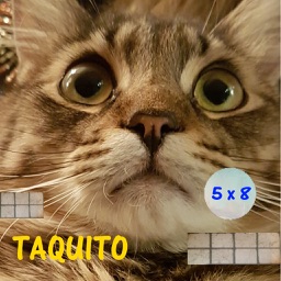 Taquito game - Math balls kids free mental calculation game