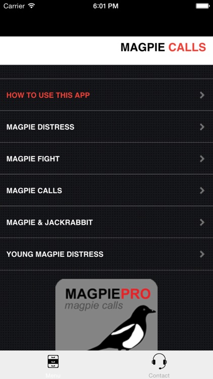 REAL Magpie Calls for Hunting + Magpie Sounds! - BLUETOOTH COMPATIBLE