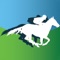 Here is your pocket reference to all the thoroughbred horse race handicapping data and handicapping algorithm performance statistics that Horse Race Advantage provides on its website, in a simple to use, and easily digestible format