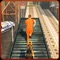 Prison Escape Police Dog Chase 3D