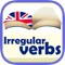 Icon Irregular Verbs in English - Practice and study languages is easy