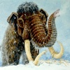 Icy Quiz for the Ice Age Movies - Cool Trivia Game for the funny films