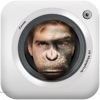 MonkeyBooth - Morphing faces into an ape, monkey or chimp