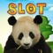 Untamed Giant Panda Casino Palace - By Ruby City Games! Spin hit the jackpot and win a fortune!