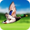 2016 Duck Hunter ~ Safari Shoot Action games