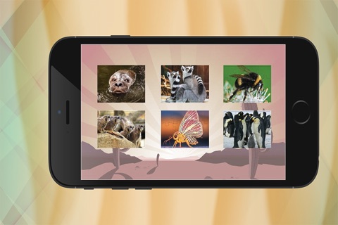 Wildlife Animals Jigsaw Puzzle Games screenshot 4