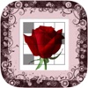 Picross Flower (nonogram)