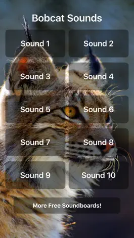 Game screenshot Bobcat Sounds! mod apk