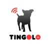 Tingolo 2.0