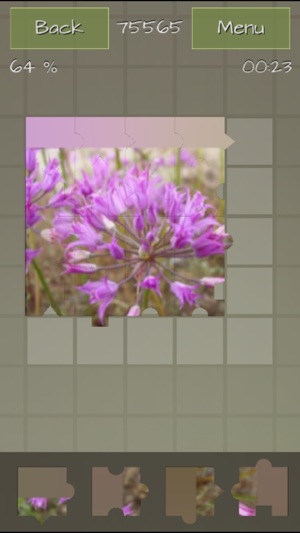 Medicinal Plants Puzzle Deluxe(圖1)-速報App