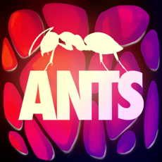 Activities of ANTS - THE GAME