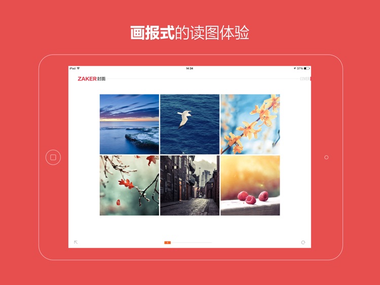 ZAKER - 新闻杂志 screenshot-4