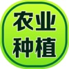 农业种植网