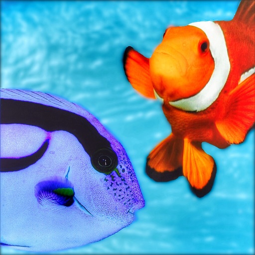 Quiz for Finding Dory - Including trivia questions and answers for Finding Nemo iOS App