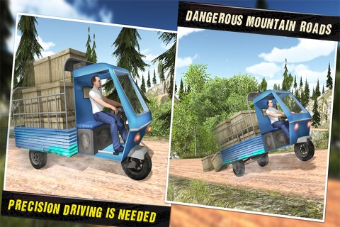 Off Road Tourist Auto Rickshaw screenshot 4