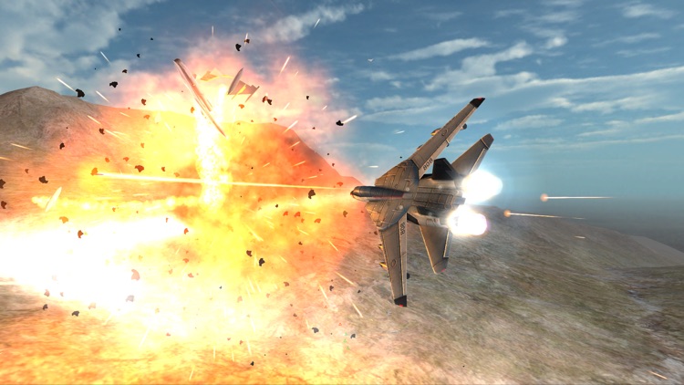 Light Legionnaire - Fighter Jet Simulator - Fly & Fight screenshot-4