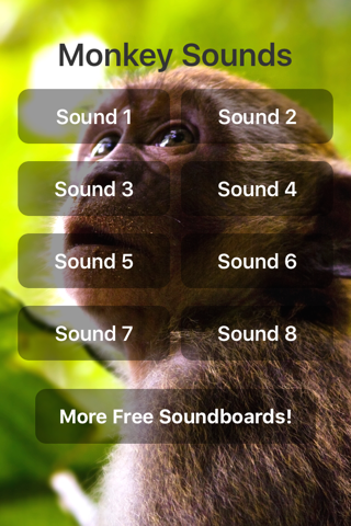 Monkey Sounds! - náhled