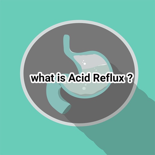 Acid Reflux+ icon