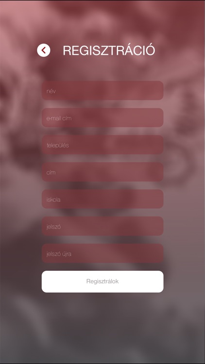 Márton Áron Emlékév screenshot-3