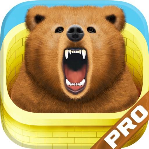 VPN-Cover - Identity Protection Tunnel-bear Edition