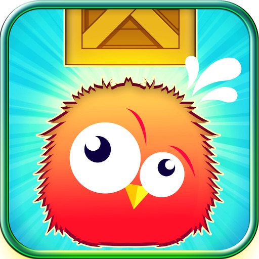 Bird Fly Flappy Game iOS App