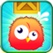 Bird Fly Flappy Game
