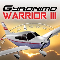 Piper Warrior III pour PC