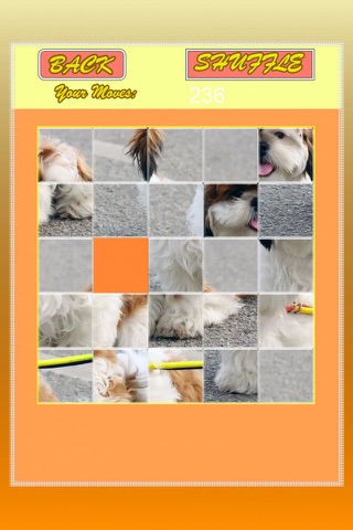SWING AND SLIDE PUZZLE Free screenshot 4