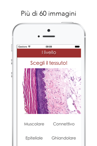 Histology Worldwide Test for iPhone screenshot 2